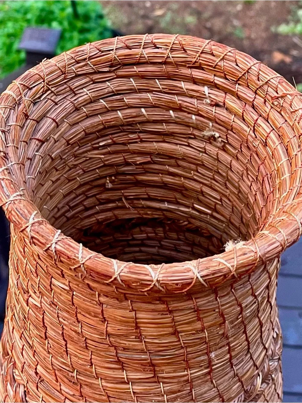 Cherokee Native American North Carolina Handwoven Pine Needle Primitive Basket